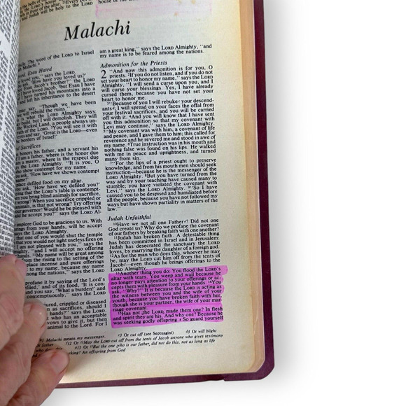 HOLY BIBLE New International Version Zondervan Helps Words Of Christ In RED 1984 - Picture 12 of 15
